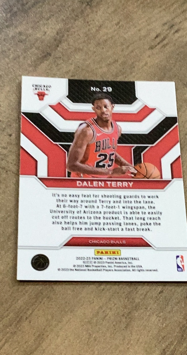 Dalen Terry 2022-23 Panini Prizm - Emergent 29 trading card image rear