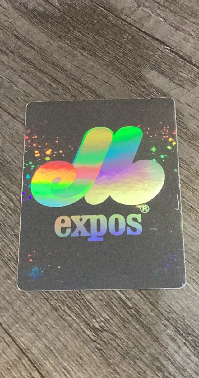 Expos 1991 UD Hologram front
