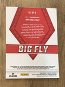 Nelson Cruz 2022 Mosaic Big Fly back