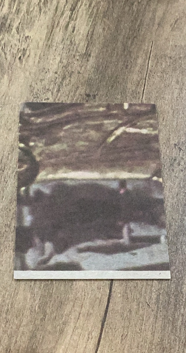 Liberated Princess! 1977 Topps 1977 Topps Star Wars trading card