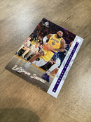LeBron James 2021-22 chronicles Luminance Panini